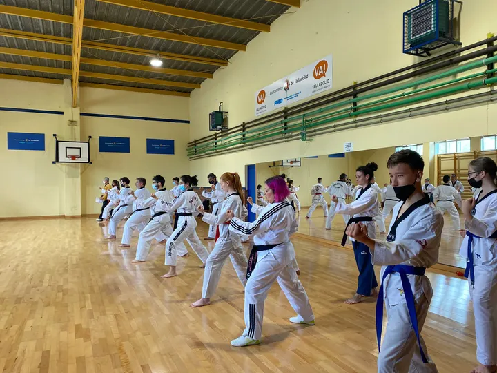 Federación de Taekwondo de Castilla y León — artes marciales-studio en Villa del Prado, Valladolid — 3