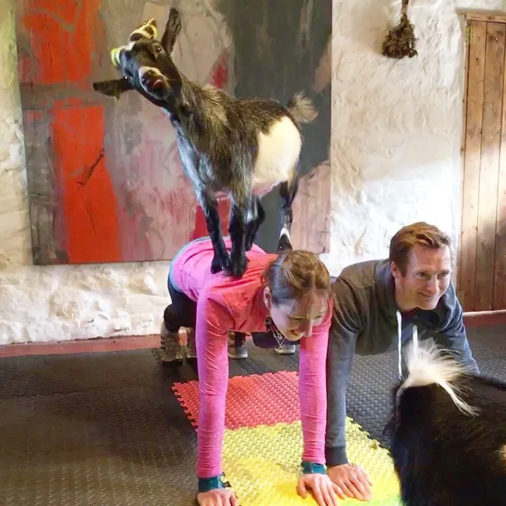 The Pilates Attic — pilates-studio in New Town, Edinburgh — 2