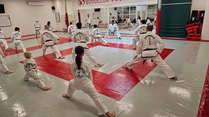 Taekwon-Do Vereniging Baukdu — vechtsport-studio in Zoetermeer — 5