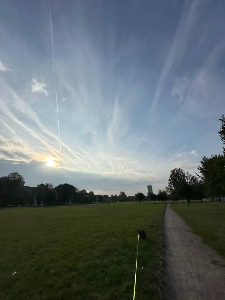 Work and Out - RHEINPARK DÜSSELDORF — Fitnessstudio in Golzheim, Düsseldorf