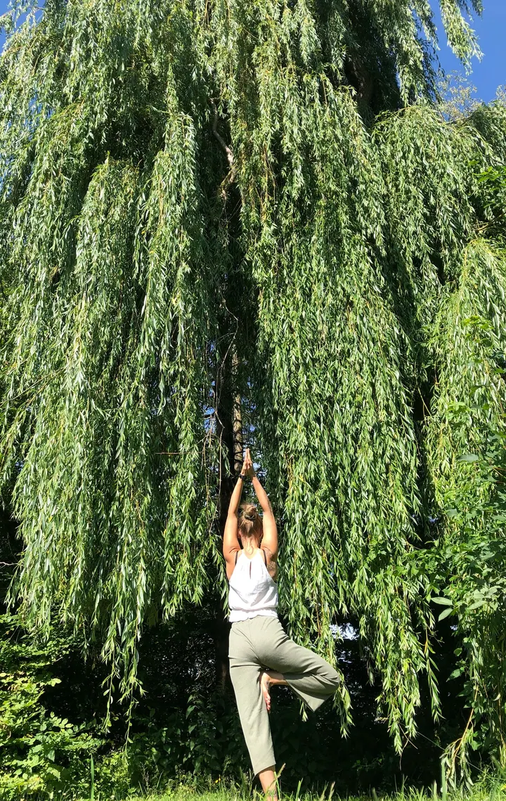 Yoga mit Katti — Yoga in Ückendorf, Gelsenkirchen