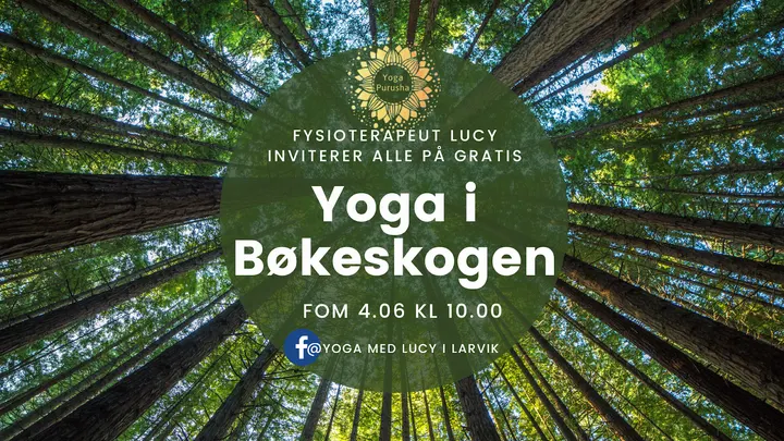 Yoga Purusha Lucyna Scigajlo — yoga-studio i Nanset, Larvik — 2