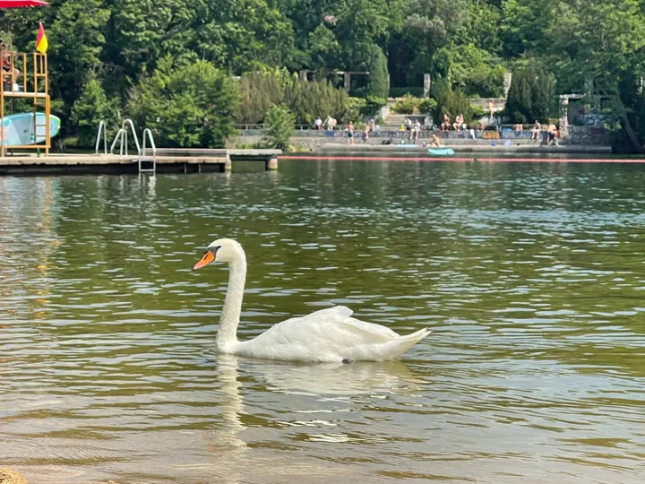 Strandbad Plötzensee — functional training-studio in Berlin — 3