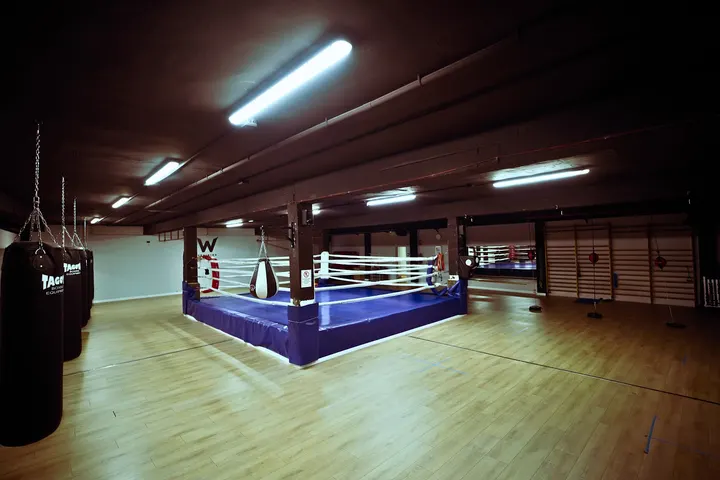 Werdum Training Center Zaragoza — mma-studio en Romareda, Zaragoza — 2