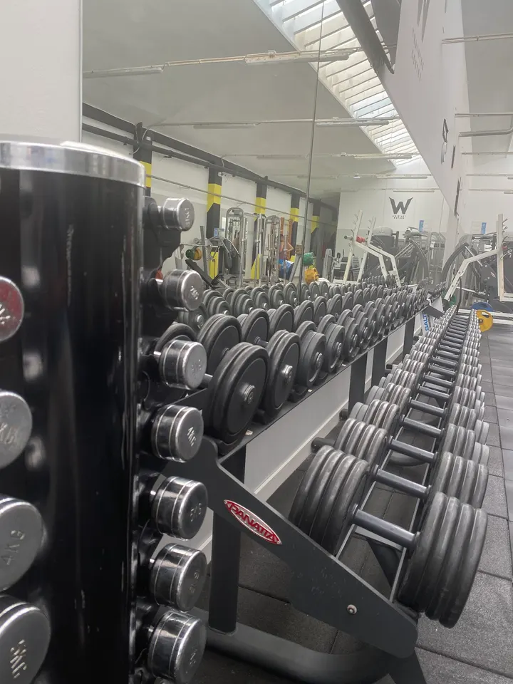 Werdum Training Center Zaragoza — mma-studio en Zaragoza — 4