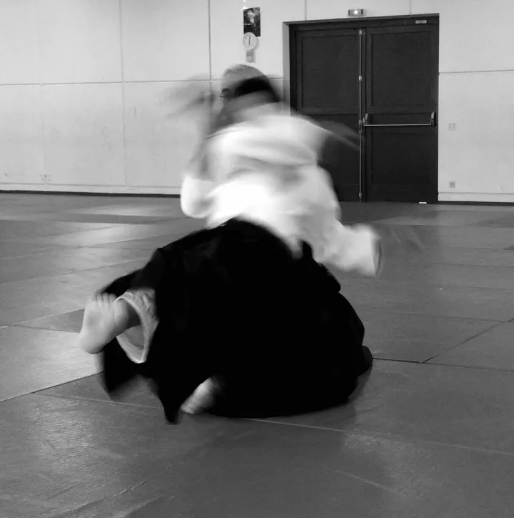 Association Aïkidojo — arts martiaux-studio à Costières, Nîmes — 2