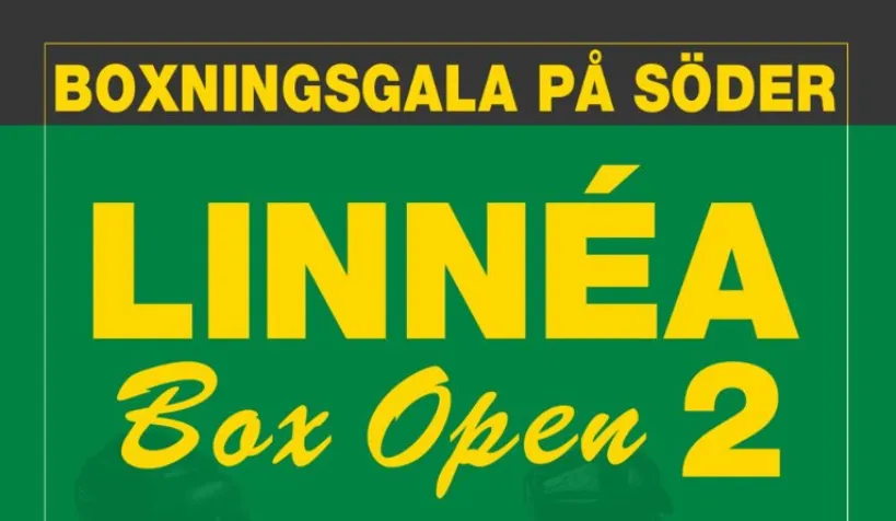 IF Linnéa Boxning — boxning-studio i Södermalm, Stockholm — bild 3