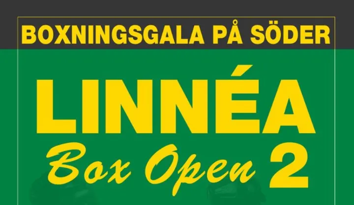 IF Linnéa Boxning — boxing-studio in Södermalm, Stockholm — 2