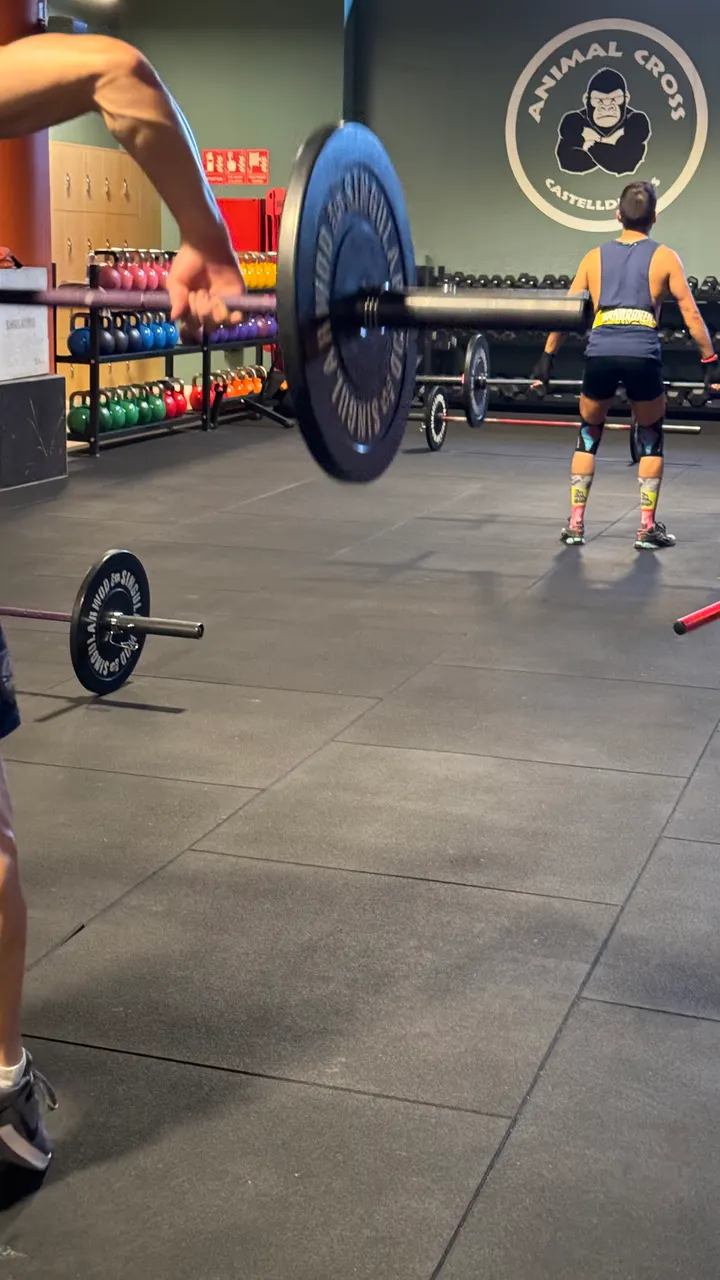 Animal Cross Castelldefels — crossfit-studio en Castelldefels — 4