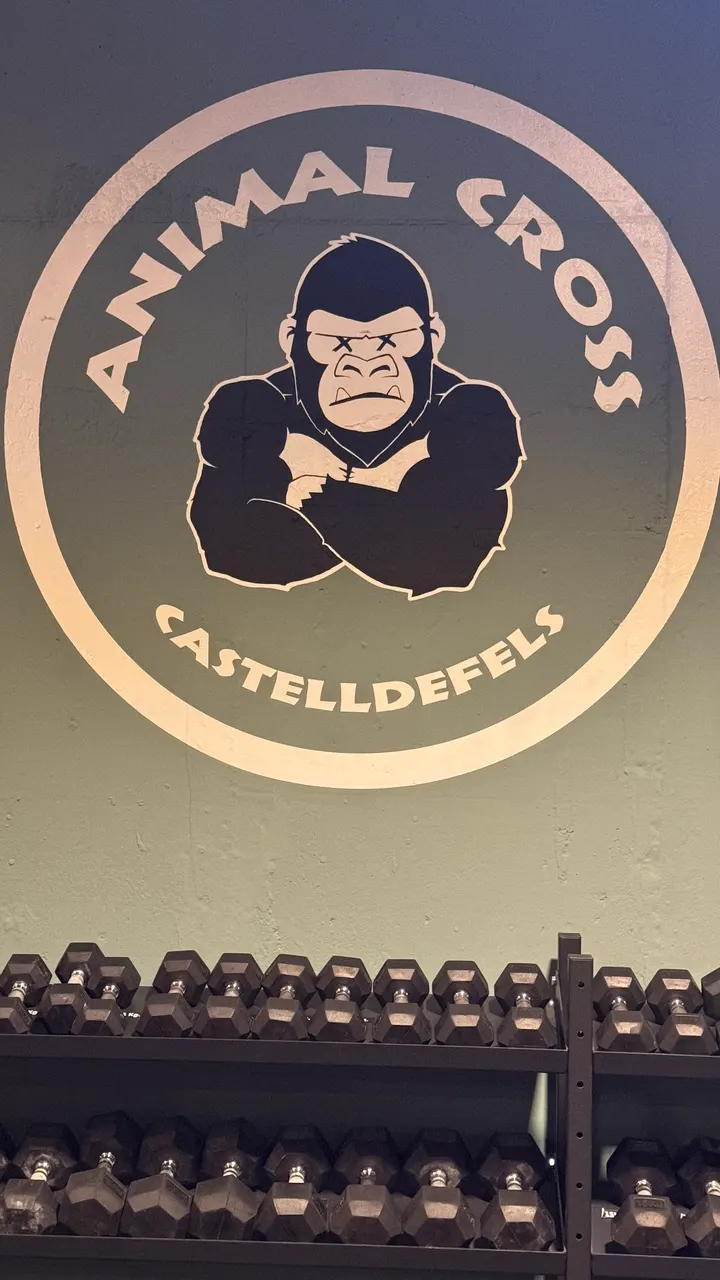 Animal Cross Castelldefels — crossfit-studio en Castelldefels — 5