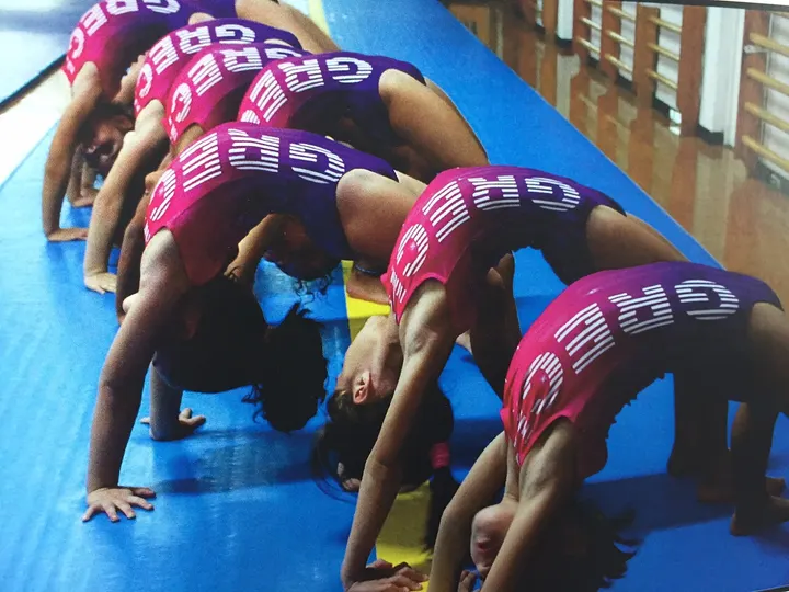 Gimnasio Grech — gimnasia-studio en Palma — 3