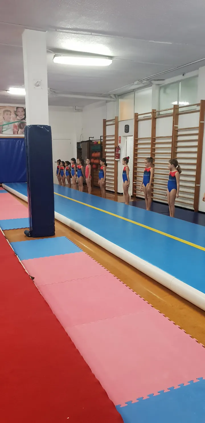 Gimnasio Grech — Gimnasia en Bons Aires, Palma