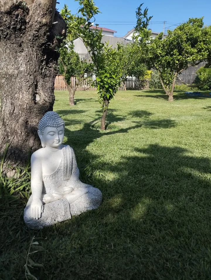 Espaço Yogin — yoga-studio em Calendário, Vila Nova de Famalicão — 3