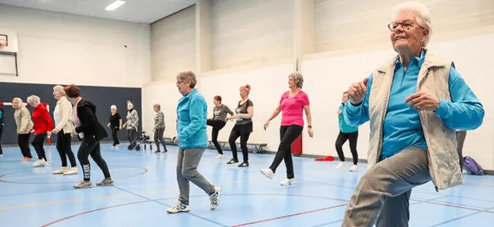 Gymnastiekvereniging P.S.V. — sportschool-studio in d'Ekker, Veldhoven — 3