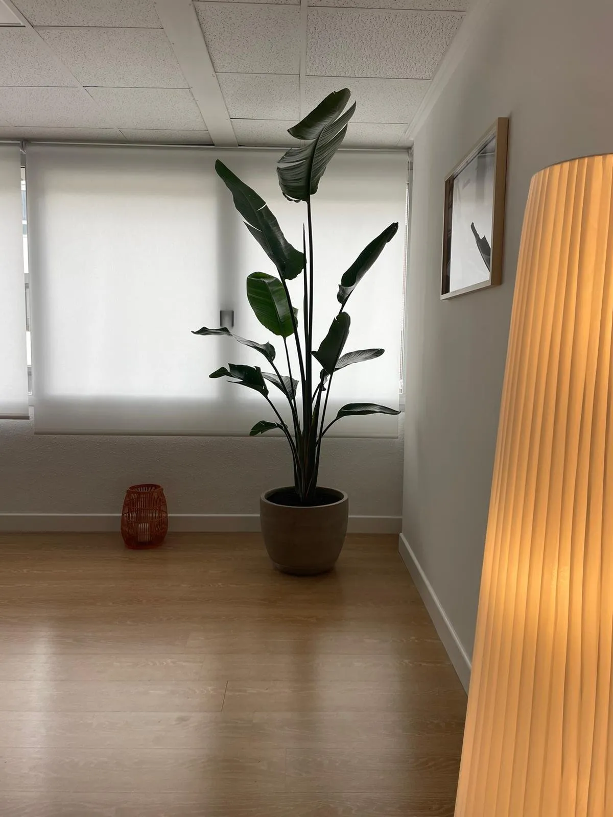 Balanza Pilates Mazarredo — pilates-studio en Abando, Bilbao — 2