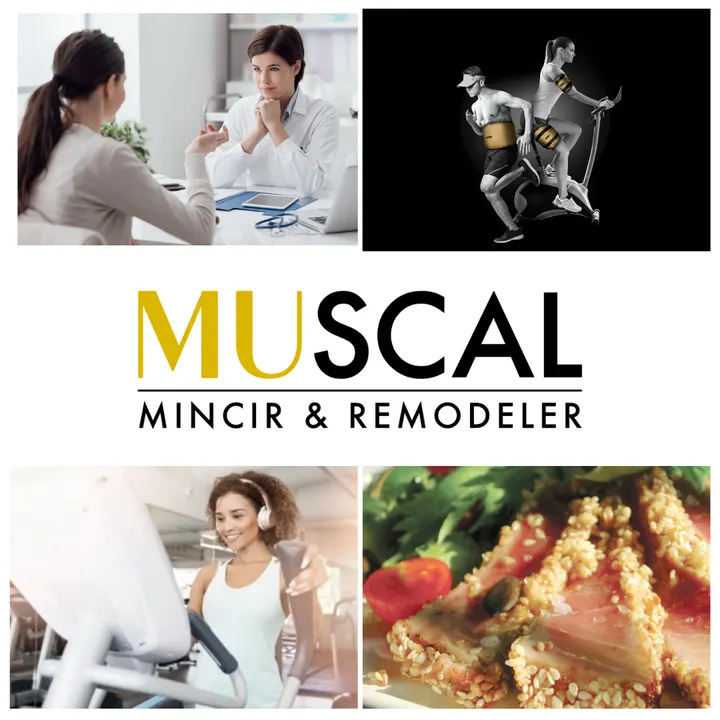 Muscal — coaching personnel-studio à Marseille — 5