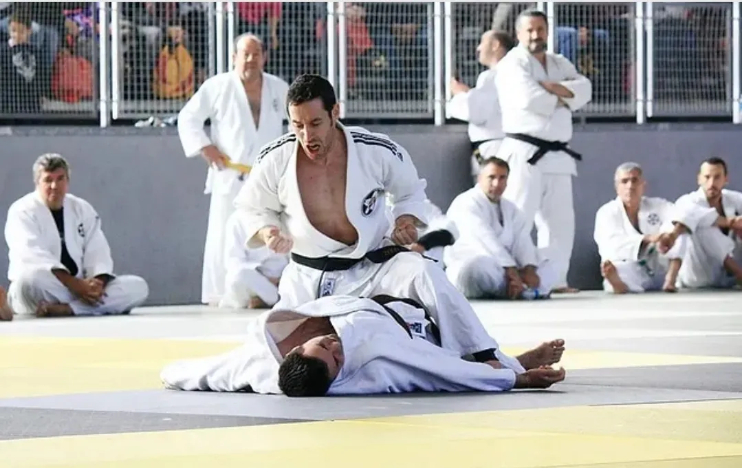 Club Jiu-jitsu Sant Cugat — artes marciales-studio en Sant Cugat del Vallès — 3