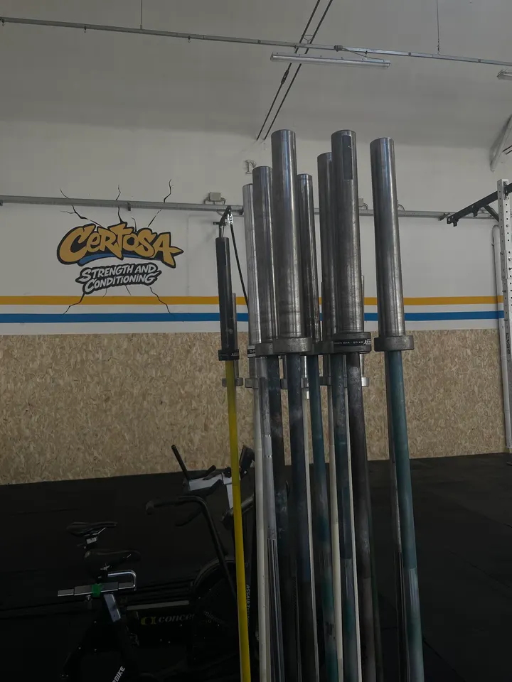 Certosa Strength and Conditioning — Functional training a Villapizzone, Milano