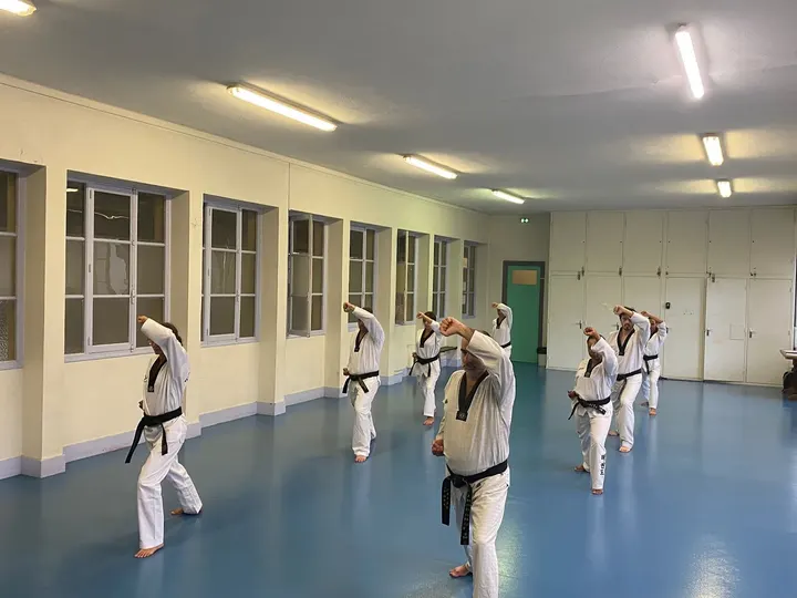 Dauphiné Taekwondo — Arts martiaux à Secteur 2, Grenoble