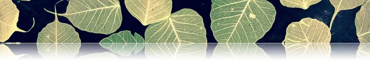 FlowYoga — yoga-studio in Noordoost, Utrecht — 2