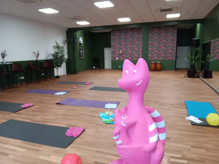 Sonja.fit — fitnessstudio in Mainz — 3