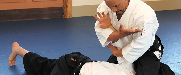 ECOLE DE BUDO RAJI Rennes Aikido Jodo Iaido — arts martiaux-studio à Bourg l'Évesque, Rennes — 2