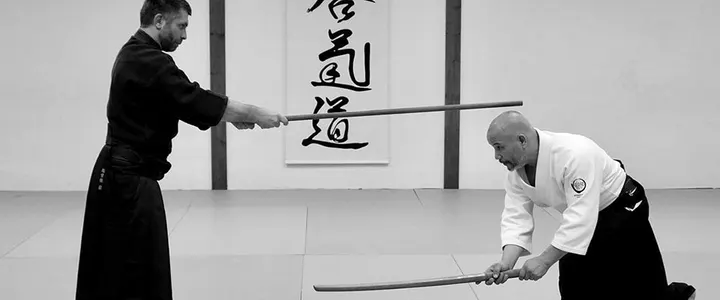 ECOLE DE BUDO RAJI Rennes Aikido Jodo Iaido — arts martiaux-studio à Bourg l'Évesque, Rennes — 3