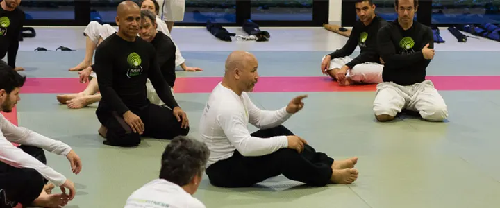 ECOLE DE BUDO RAJI Rennes Aikido Jodo Iaido — arts martiaux-studio à Rennes — 5