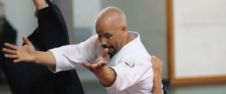 ECOLE DE BUDO RAJI Rennes Aikido Jodo Iaido — Arts martiaux à Bourg l'Évesque, Rennes