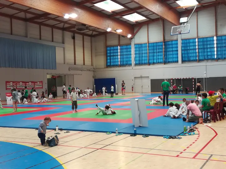 Shin Dojo Herblinois — arts martiaux-studio à Dervallières - Zola, Nantes — 2