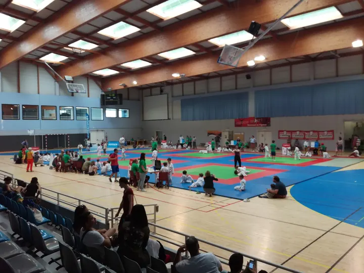 Shin Dojo Herblinois — Arts martiaux à Dervallières - Zola, Saint-Herblain