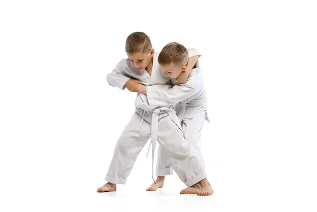 Judo Club Anjou — arts martiaux-studio à Angers — 2