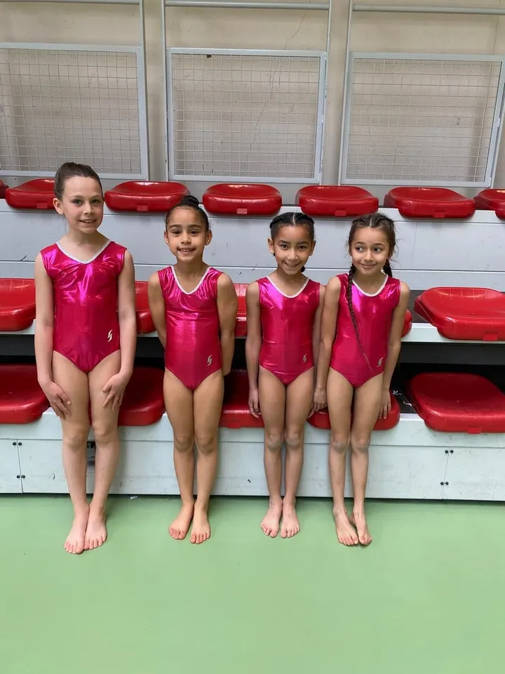 Avenir Gymnique des Pins — salle de fitness-studio à 15e Arrondissement, Marseille — 3
