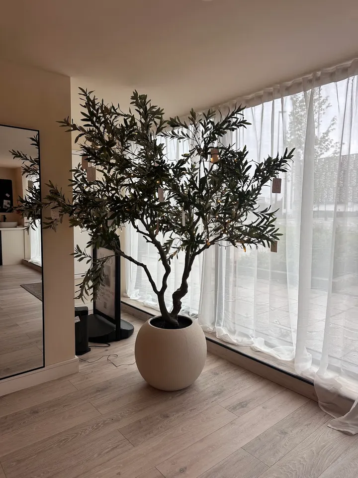 Aleo Wellness Studio — barre-studio in Howley, Warrington — 3