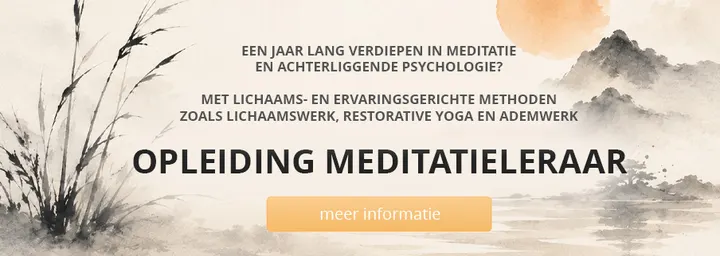 Meditatie Instituut Nederland — meditatie-studio in Zwolle — 3