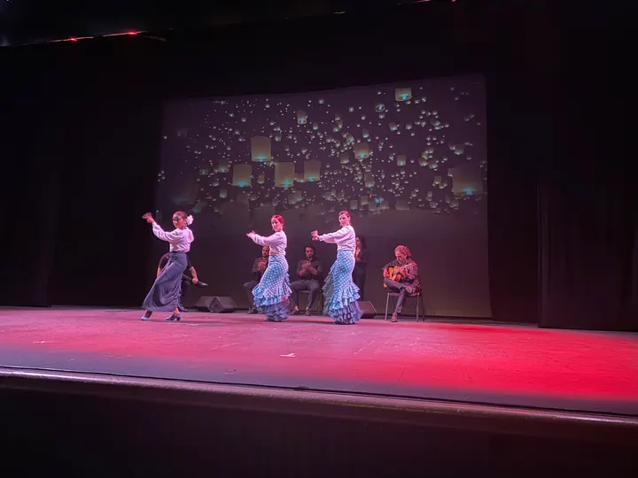 Centro De Flamenco Y Danza El Lucero — baile-studio en Madrid — 3