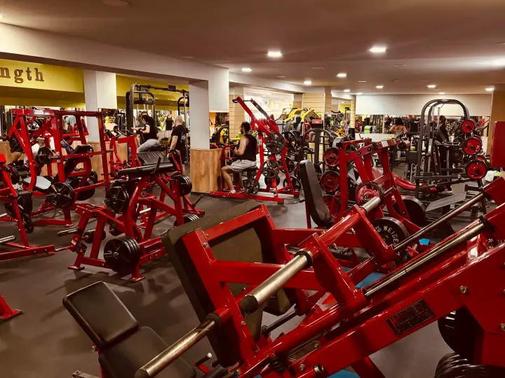 Grifo Gym — Treino funcional em Santa Marinha, Vila Nova de Gaia