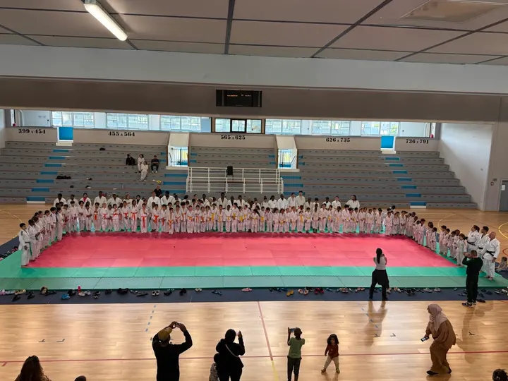 Judo Sporting Club Saint-Denis — arts martiaux-studio à Saint-Denis — 4