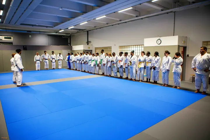 Judo Sporting Club Saint-Denis — Arts martiaux à Delaunay - Belleville - Semard, Saint-Denis