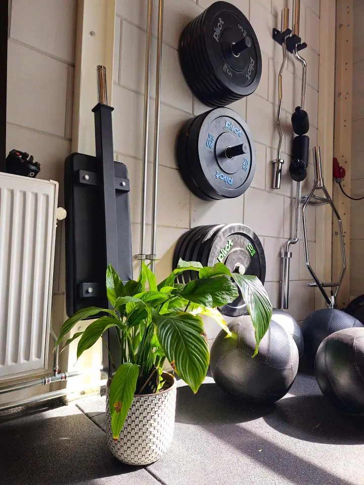 Marco Active — personal training-studio in Zaandam — 3