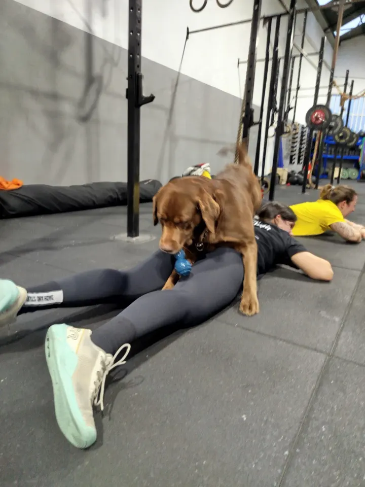 Oito80 Functional Fitness — treino funcional-studio em Campanhã, Porto — 2