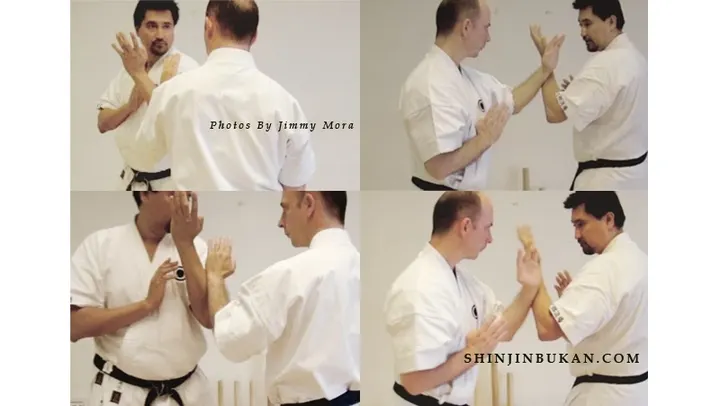 Shinjinbukan Lyon Dōjō — arts martiaux-studio à Vaise, Lyon — 2