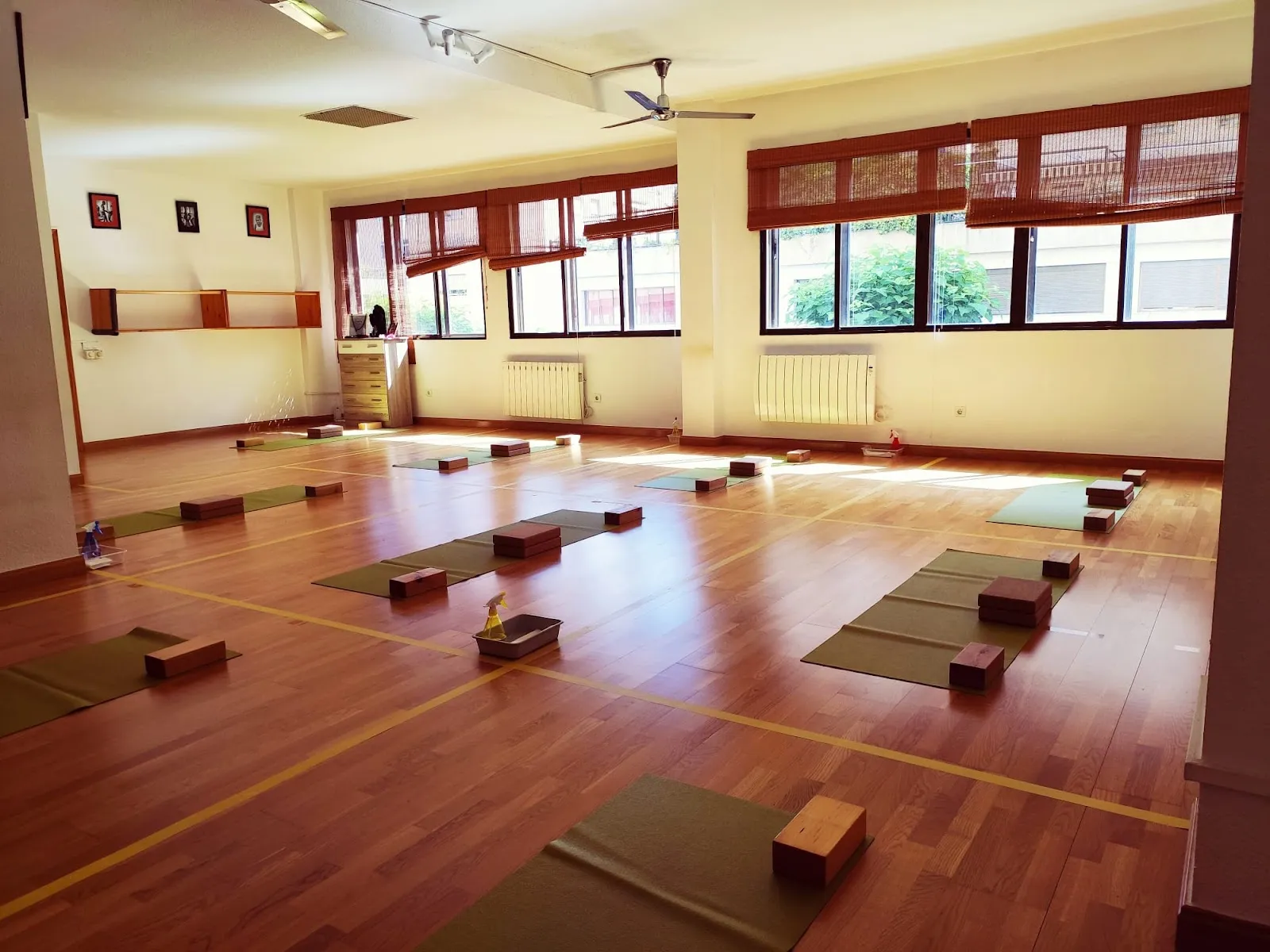 Centro Seiza Escuela de Yoga Iyengar — yoga-studio en Valdepasillas, Badajoz — 2