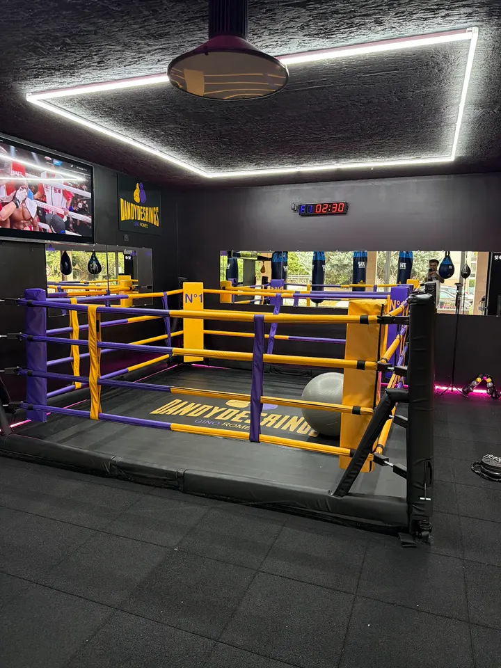 Dandy des Rings Boxe — arts martiaux-studio à Val Saint-André, Aix-en-Provence — 3