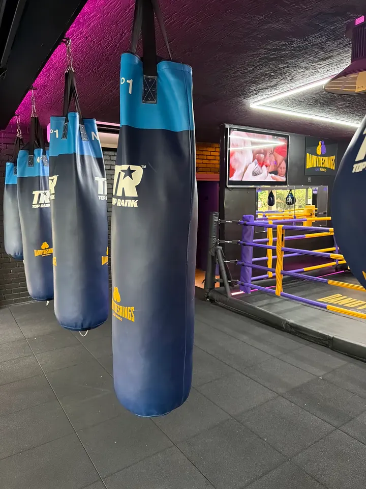 Dandy des Rings Boxe — arts martiaux-studio à Aix-en-Provence — 4