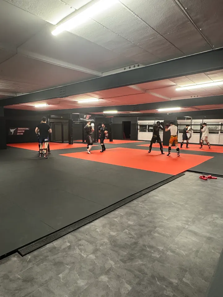 Martial Arts Gym Braunschweig — kampfsport-studio in Braunschweig — 3