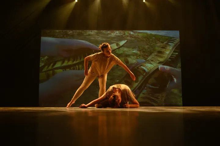 Base4Dance — Dans in Singel, Deventer