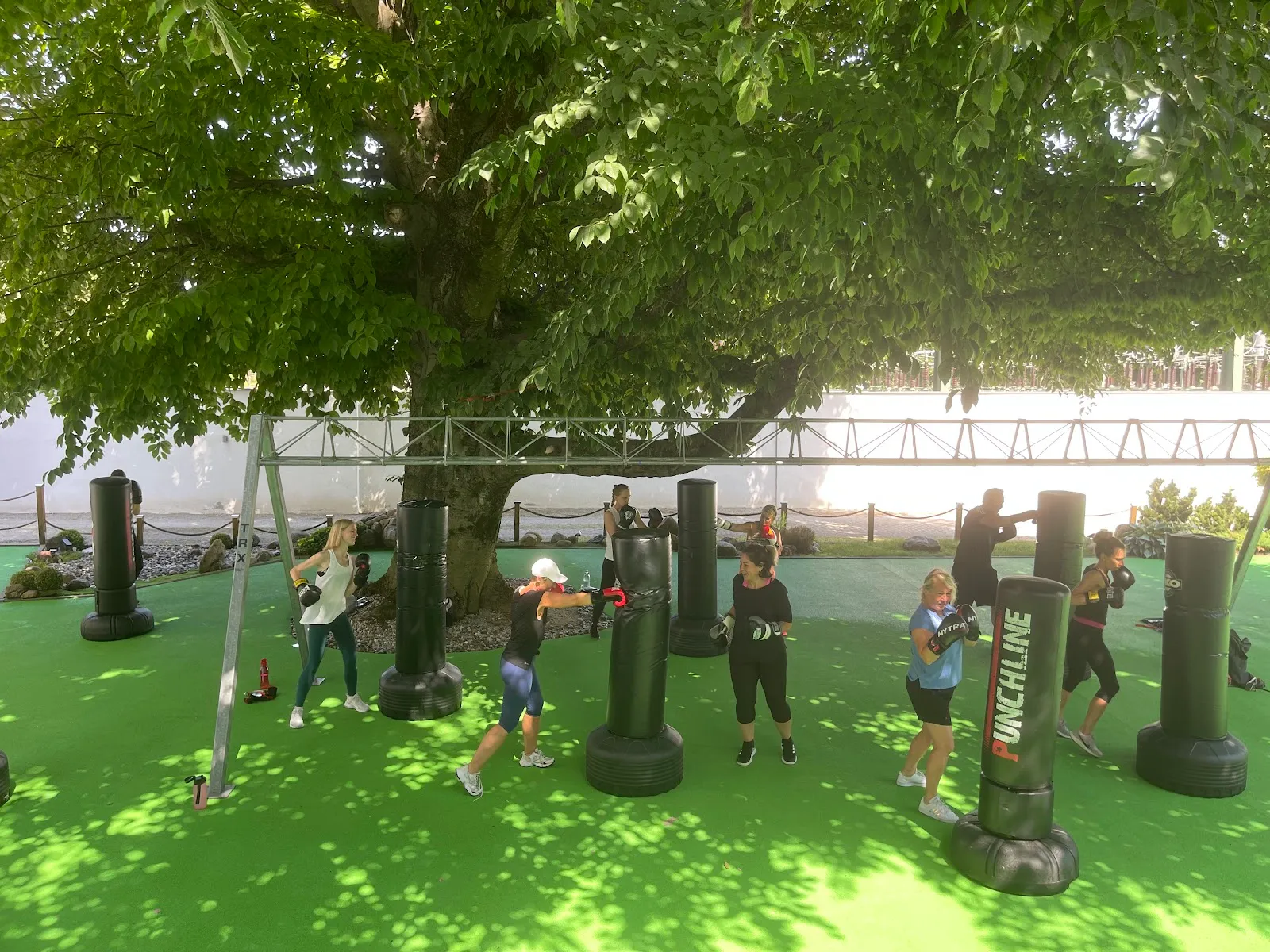 Sharkyou GmbH & Co. KG — fitnessstudio in Augsburg — 4