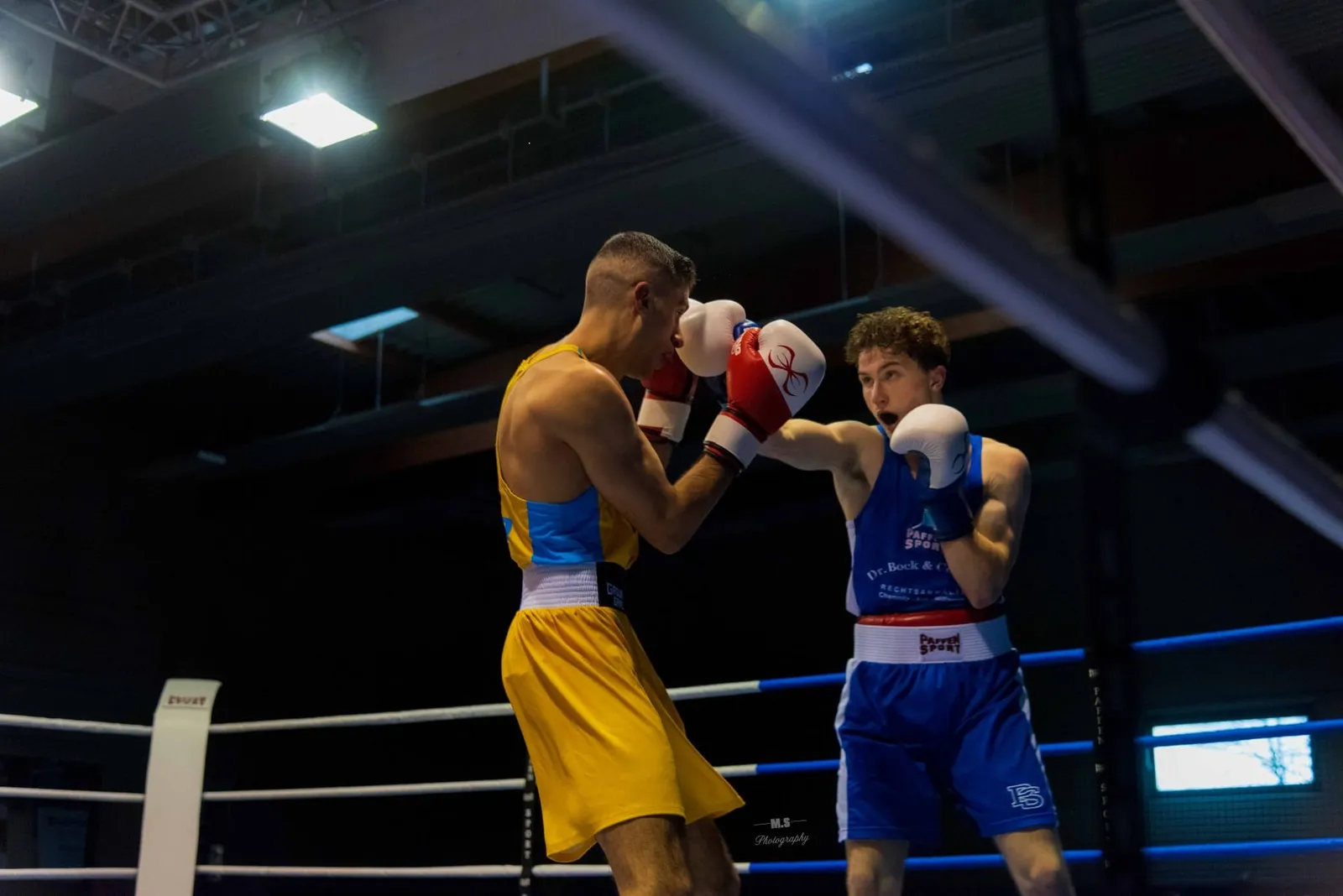 Boxclub Chemnitz 94 e.V. — kampfsport-studio in Bernsdorf, Chemnitz — 2