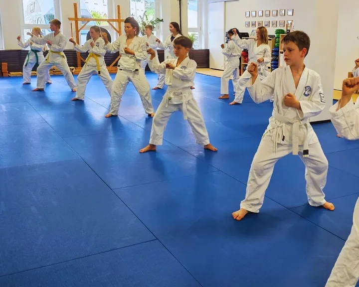 Taekwon-Do Center Heidelberg — kampfsport-studio in Handschuhsheim, Heidelberg — 2